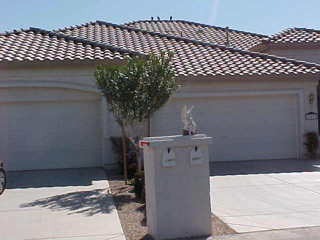 23833 S Pleasant Way, Sun Lakes, AZ 85248