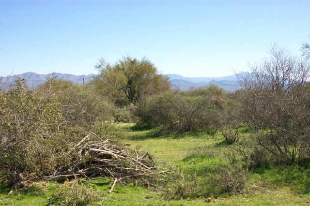 30108 N 163rd Pl., Scottsdale, AZ 85262