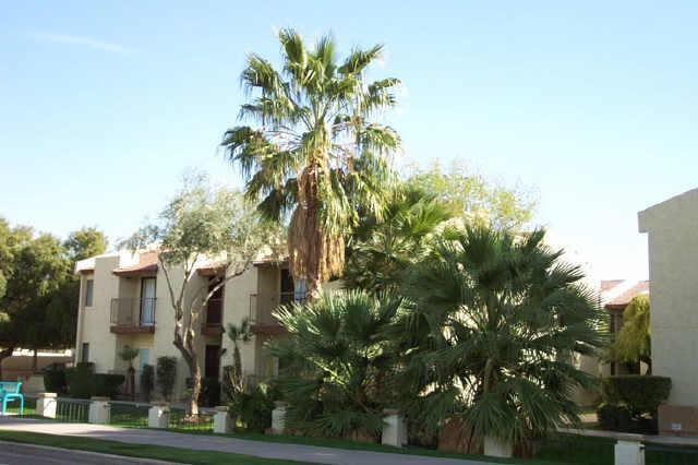 1111 E University Ave. #132, Tempe, AZ 85288