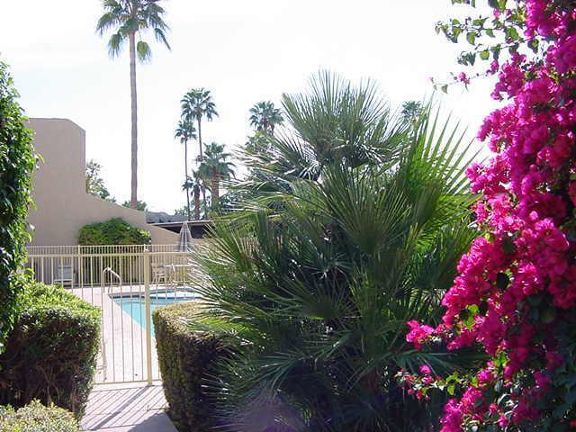 7343 E Northland Dr., Scottsdale, AZ 85251