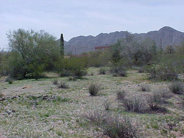 40 W Momoli Rd., Maricopa, AZ 85239