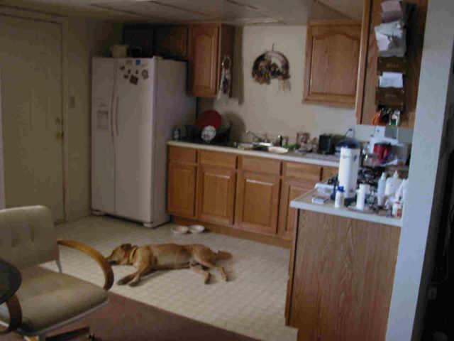 3317 W Cypress St. #1,2, Phoenix, AZ 85009