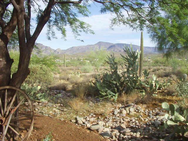 7117 E Lone Mountain Rd. (north), Cave Creek, AZ 85331