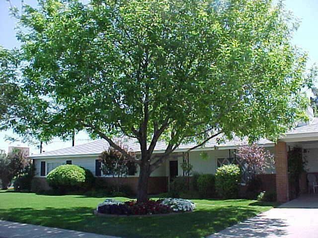 2037 W Cambridge Ave., Phoenix, AZ 85009