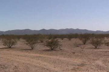 23500 W Bunker Peak Rd., Wittmann, AZ 85361