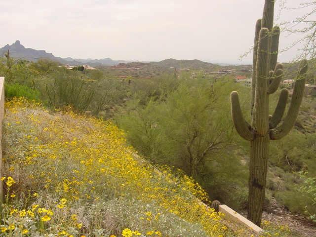 15805 E Mustang Dr., Fountain Hills, AZ 85268