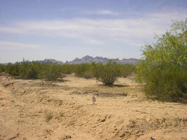 54700 W Thomas (approx) Rd. #66, Tonopah, AZ 85326