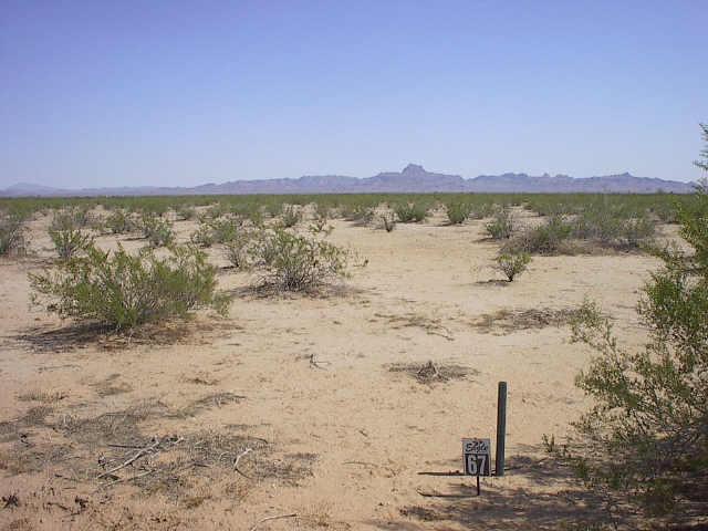 54700 W Virginia (approx) Ave. #67, Tonopah, AZ 85326