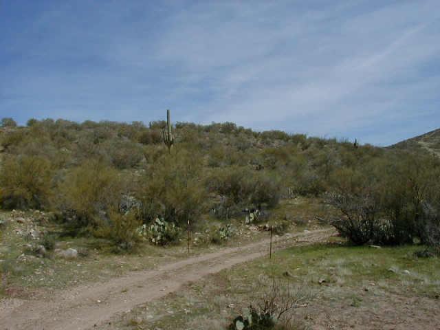 N Cow Creek/lake Pleasant Rd. #71, Morristown, AZ 85342