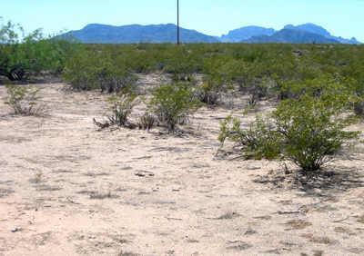 1400 N 362 Ave. #53, Unincorporated County, AZ 85354