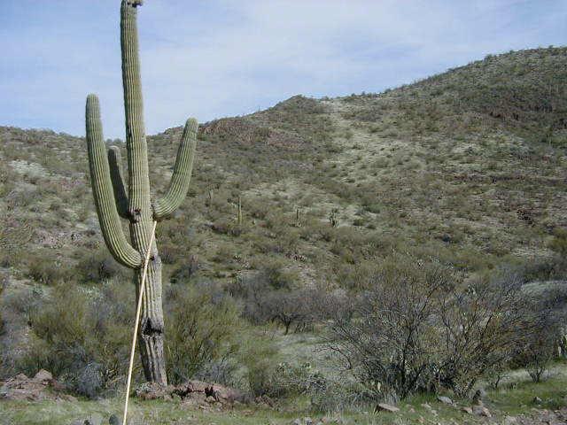 N Cow Creek/lake Pleasant Rd. #70, Morristown, AZ 85342