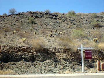 14007 S 19th St. #17, Phoenix, AZ 85048