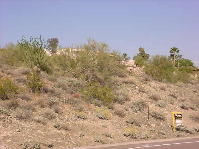 14636 E Golden Eagle Blvd. #56, Fountain Hills, AZ 85268