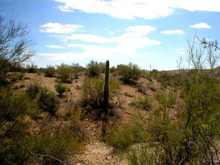 48925 S Hwy 60/89, Wickenburg, AZ 85390