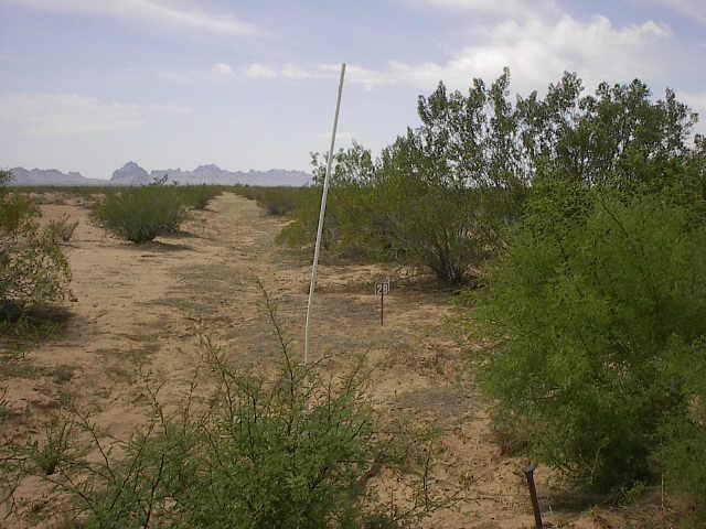 53600 W Earll (approx) Dr. #28, Tonopah, AZ 85326