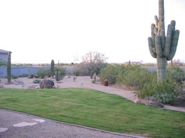 8365 W La Caille St., Peoria, AZ 85383