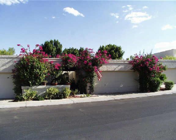 4721 E Winston Dr., Phoenix, AZ 85044