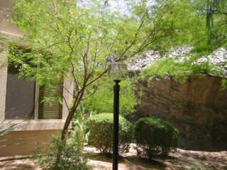 7887 N 16th St. ## 107, Phoenix, AZ 85020