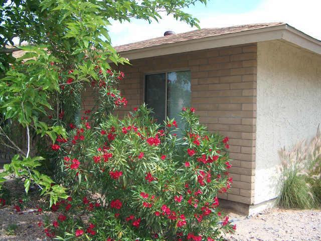 2259 S Canton St., Mesa, AZ 85202