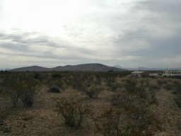 W 343rd & Dobbins Ave., Tonopah, AZ 85354