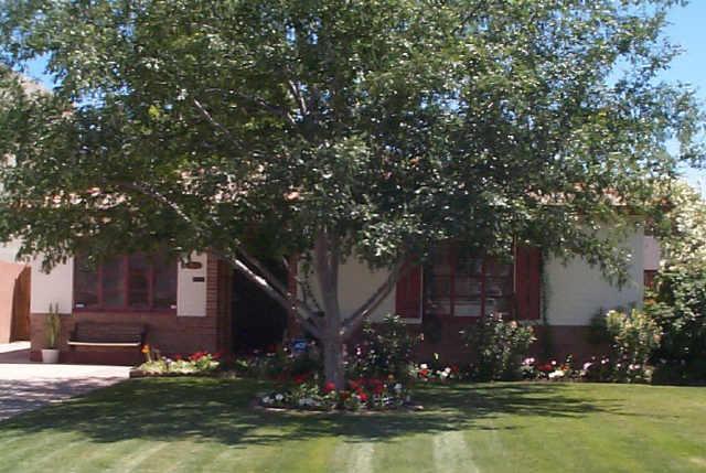 2253 N 16th Ave., Phoenix, AZ 85007