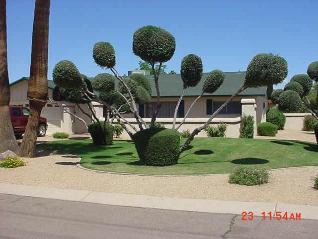 6044 E Shea Blvd., Phoenix, AZ 85254