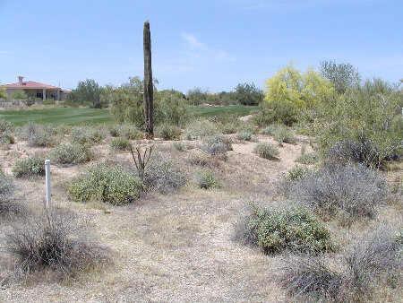 27314 N Azatlan Dr. #219, Rio Verde, AZ 85263