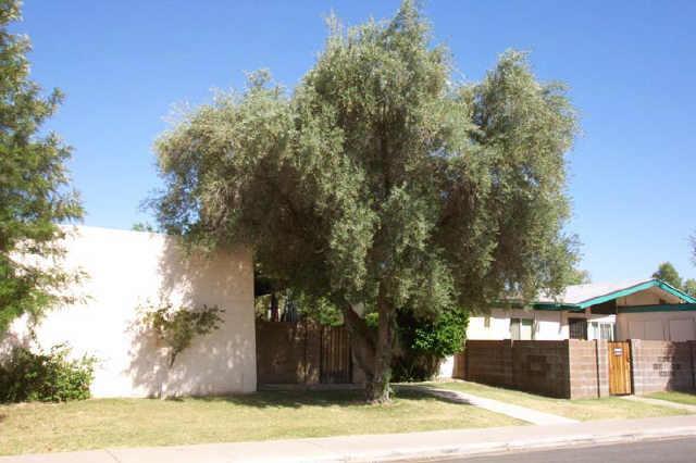 555 N May St. #33, Mesa, AZ 85201