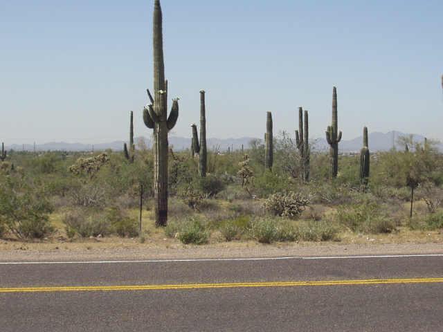 2954 W Mckellips Blvd., Apache Junction, AZ 85220