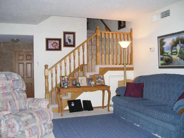 10008 N 52nd Dr., Glendale, AZ 85302