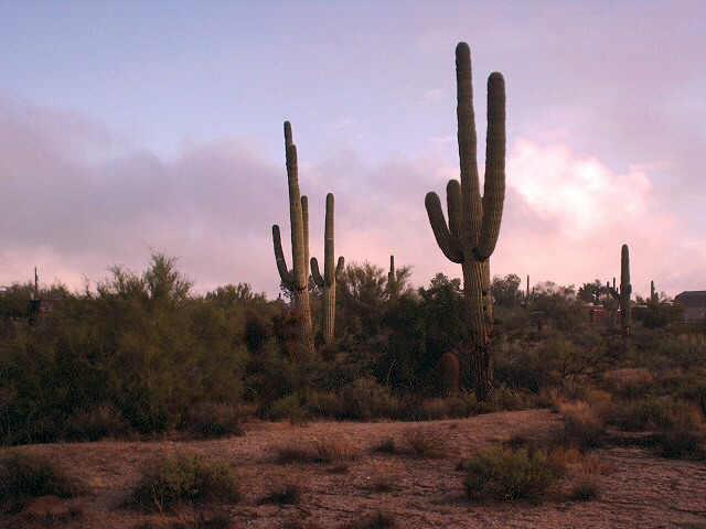 7042 E Lone Mountain Rd., Scottsdale, AZ 85266