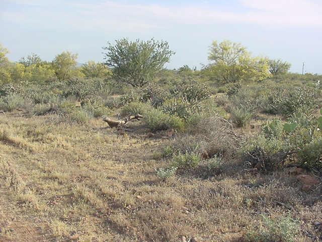 N Bond Rd., New River, AZ 85087