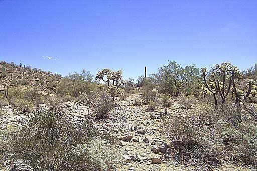 3977 S Camino De Vida Dr. #118, Gold Canyon, AZ 85219