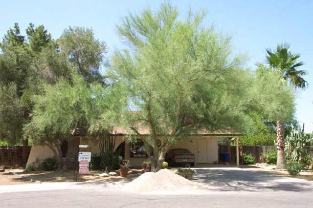 1808 W Stottler Dr., Chandler, AZ 85224