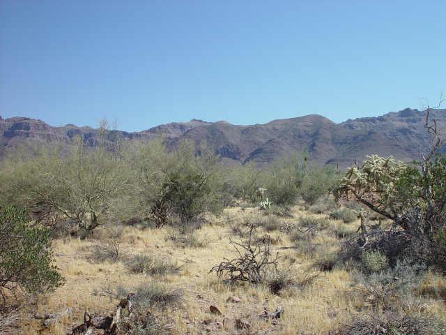 3000 S Prickly Point Dr. #18C, Gold Canyon, AZ 85218