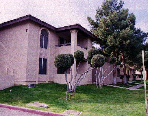 10610 S 48th St. #2041, Phoenix, AZ 85044