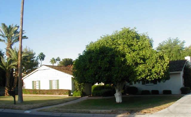 4115 N 63rd St., Scottsdale, AZ 85251