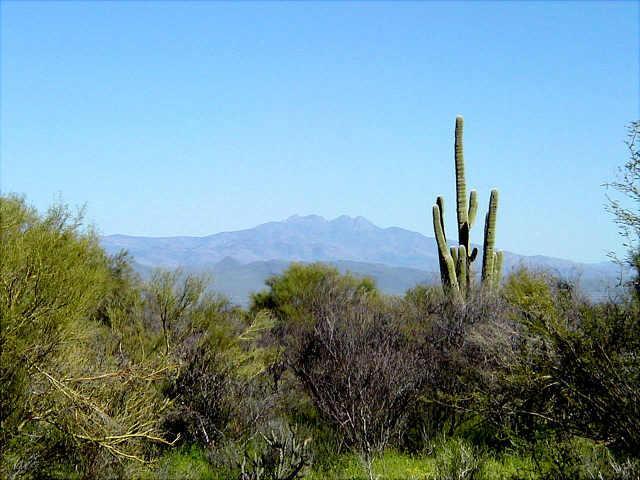 140900 E Dove Valley (2 Lots) #5, Scottsdale, AZ 85262