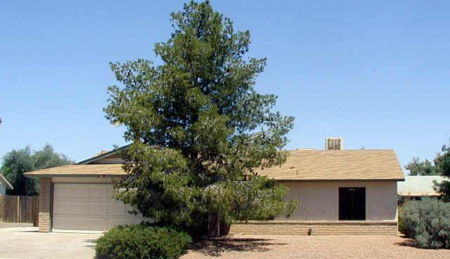 684 W Mesquite St., Chandler, AZ 85225