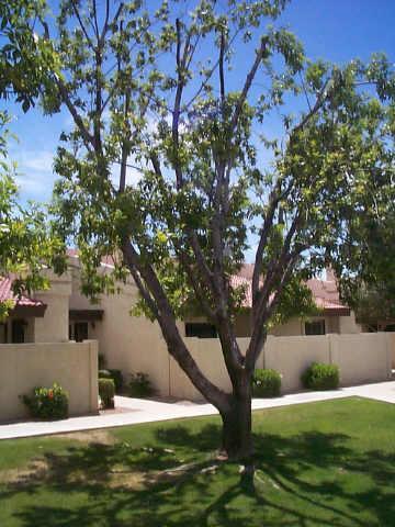 3030 S Alma School Rd. ##22, Mesa, AZ 85210