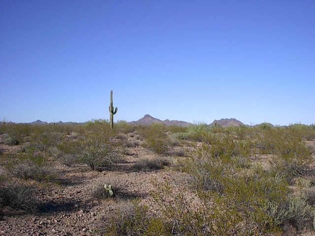 35200 W Whispering Ranch Rd. #5, Wickenburg, AZ 85390