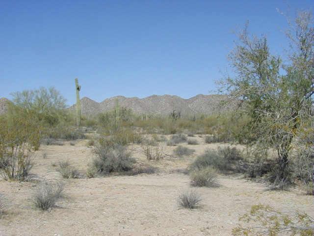 S Lapaz Rd. #41, Maricopa, AZ 85239