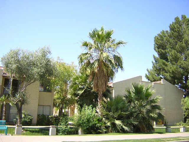 1111 E University Dr. #101, Tempe, AZ 85288