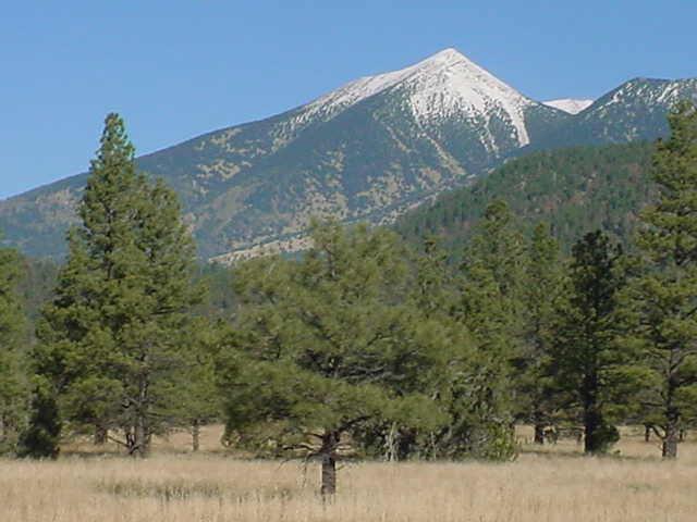 14 N Lockett Ranches St. #14C, Flagstaff, AZ 86001