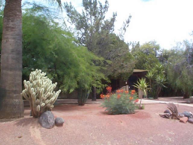 11433 N 66th St., Scottsdale, AZ 85254