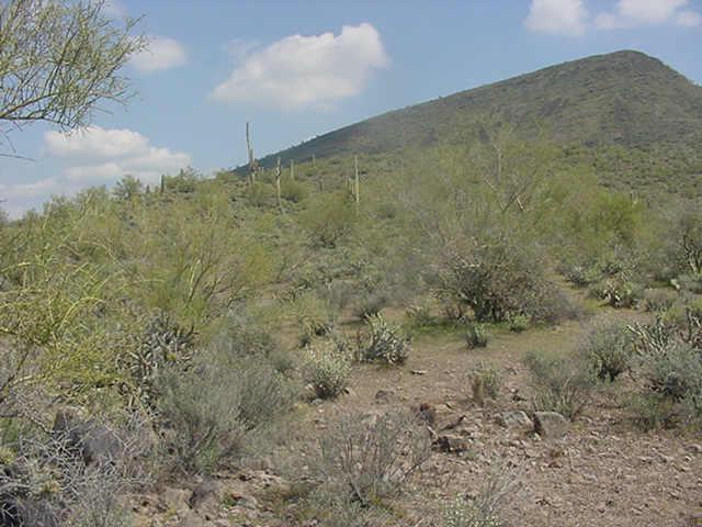 418 N 18th St. (greer Ranch) St. #C, New River, AZ 85087