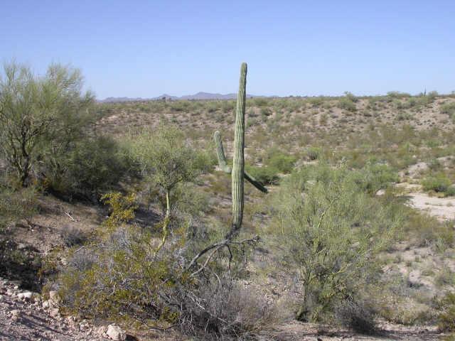 5 N Acres Grantham Rch. Ln. #13-A2, Wickenburg, AZ 85390