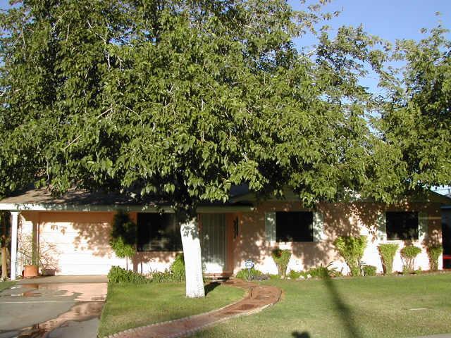 2309 W Citrus Way, Phoenix, AZ 85015