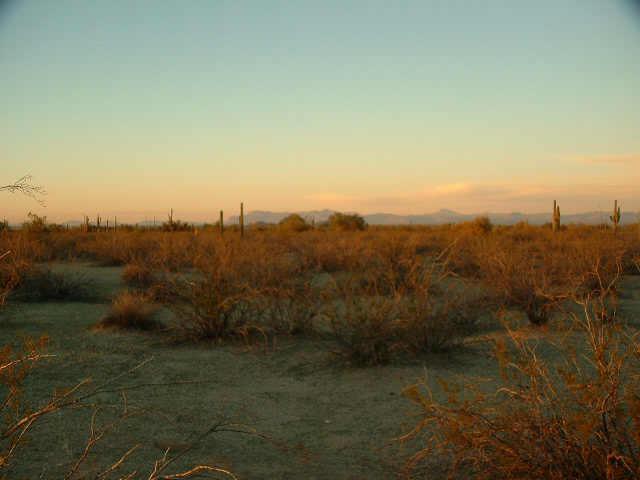 S Quail Run St. #1, Florence, AZ 85232
