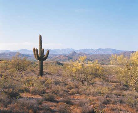 845 E Bridle Path Ter. #12, Wickenburg, AZ 85390